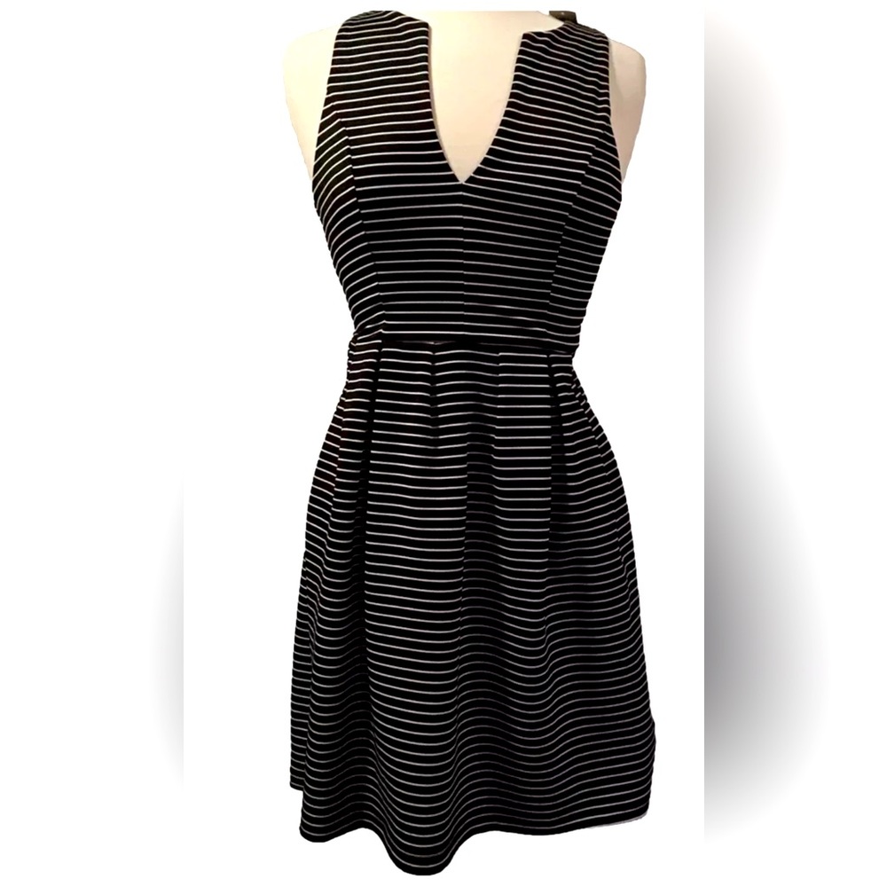 🌺 NWT Mi Ami Francesca’s Sz S Black White Striped Sleeveless Fit & Flare Dress